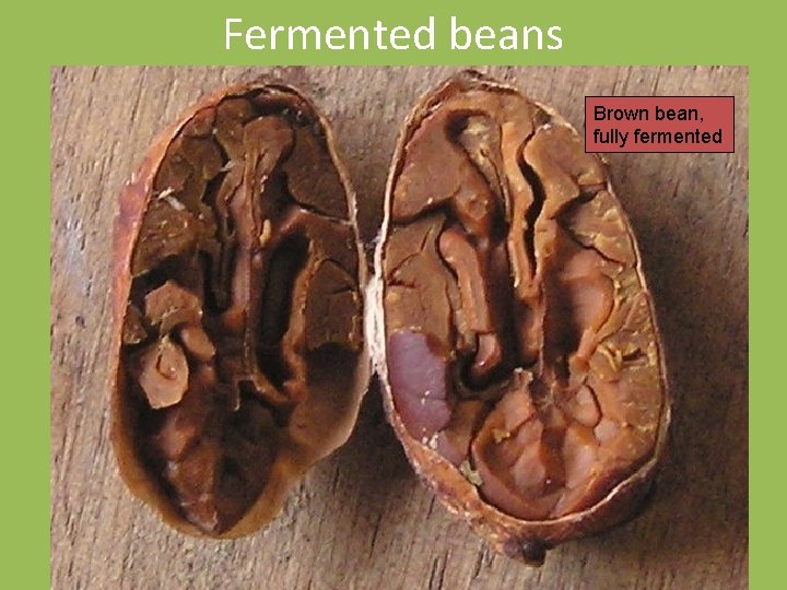 Fermented beans Brown bean, fully fermented 