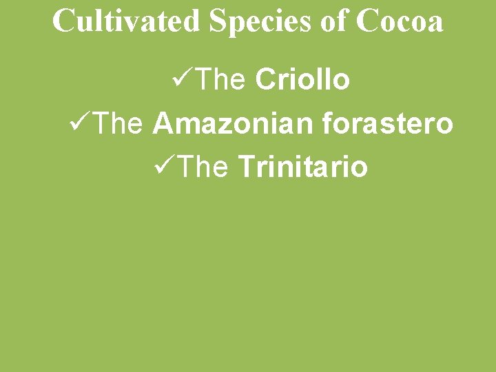 Cultivated Species of Cocoa üThe Criollo üThe Amazonian forastero üThe Trinitario 