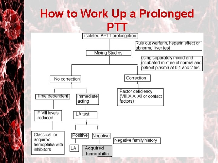 How to Work Up a Prolonged PTT 