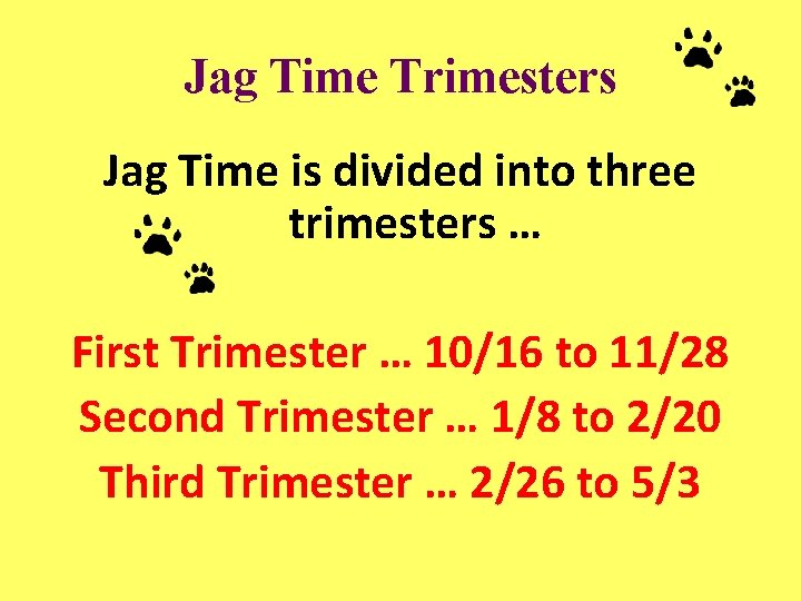 Jag Time Trimesters Jag Time is divided into three trimesters … First Trimester …