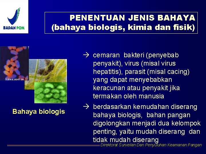 PENENTUAN JENIS BAHAYA (bahaya biologis, kimia dan fisik) cemaran bakteri (penyebab penyakit), virus (misal