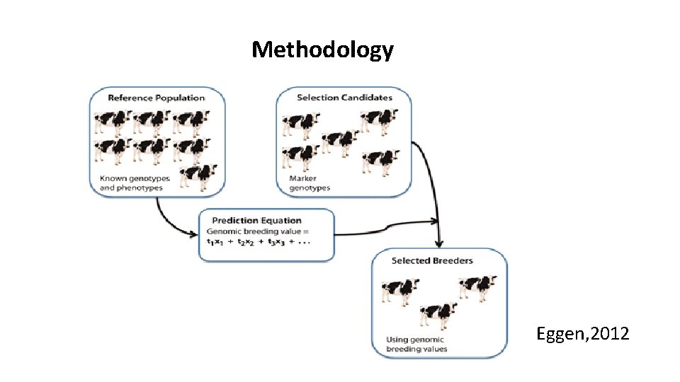Methodology Eggen, 2012 