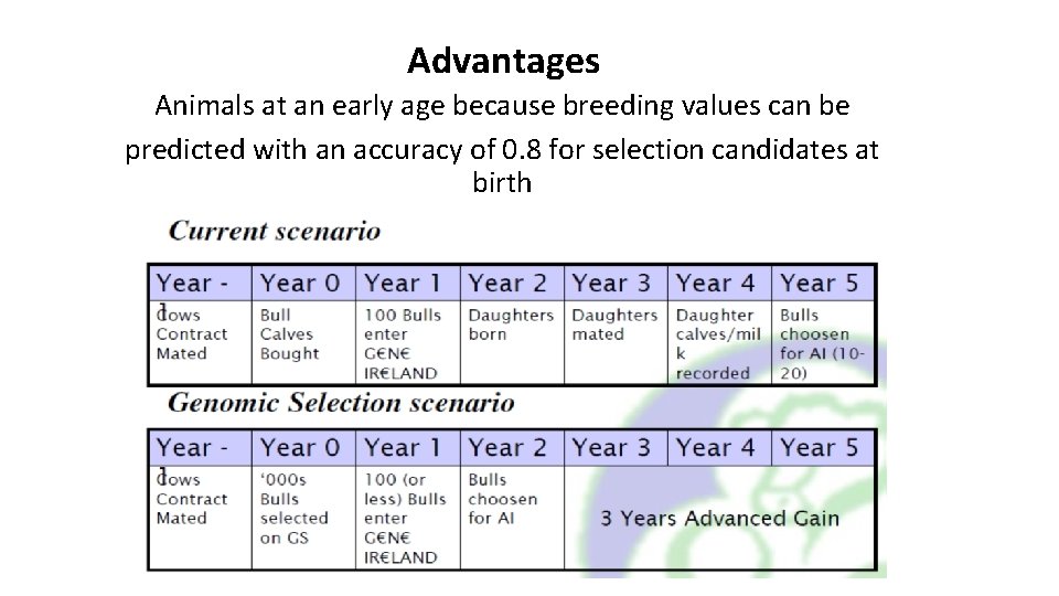 Advantages Animals at an early age because breeding values can be predicted with an