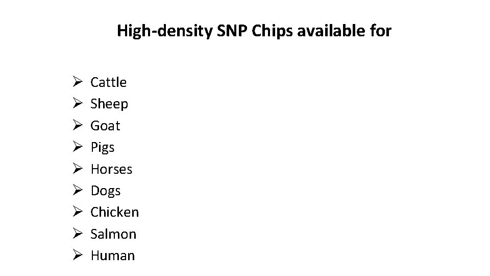High-density SNP Chips available for Ø Ø Ø Ø Ø Cattle Sheep Goat Pigs