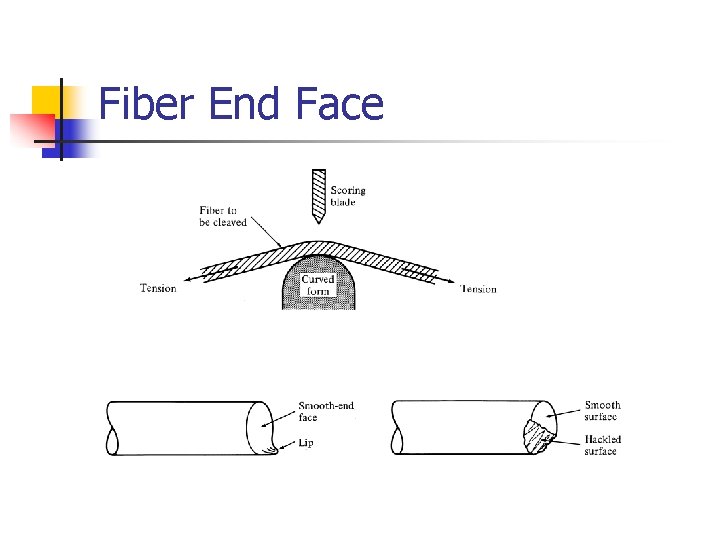 Fiber End Face 