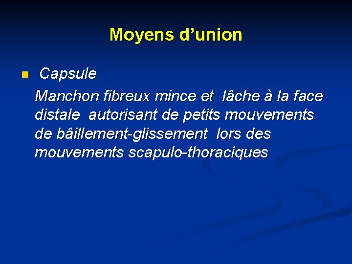 Moyens d’union n Capsule Manchon fibreux mince et lâche à la face distale autorisant