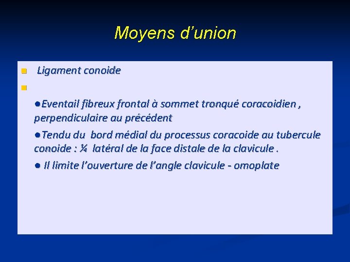 Moyens d’union n n Ligament conoide ●Eventail fibreux frontal à sommet tronqué coracoidien ,