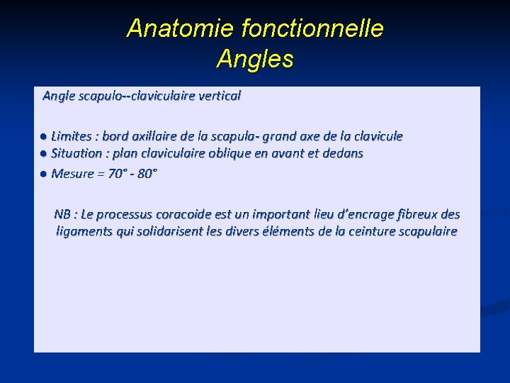 Anatomie fonctionnelle Angles Angle scapulo--claviculaire vertical ● Limites : bord axillaire de la scapula-