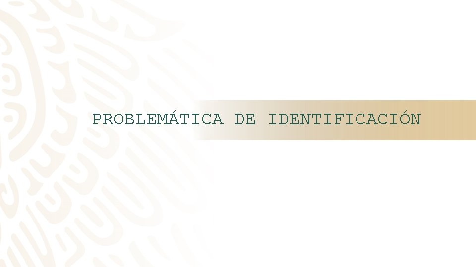 PROBLEMÁTICA DE IDENTIFICACIÓN 