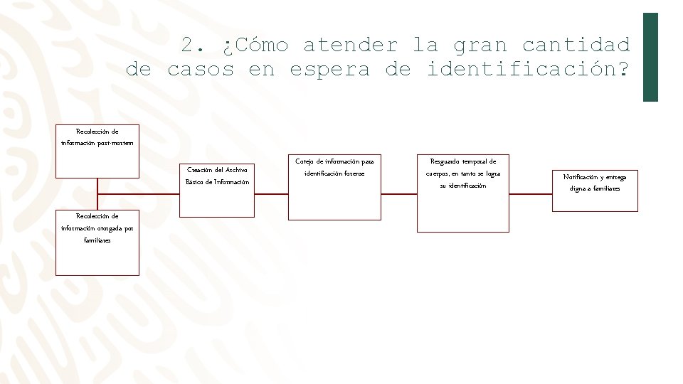 2. ¿Cómo atender la gran cantidad de casos en espera de identificación? Recolección de