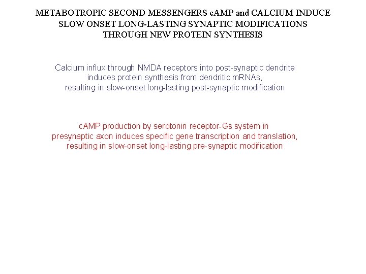 METABOTROPIC SECOND MESSENGERS c. AMP and CALCIUM INDUCE SLOW ONSET LONG-LASTING SYNAPTIC MODIFICATIONS THROUGH