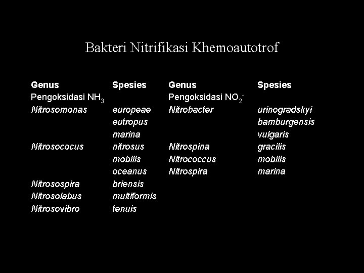 Bakteri Nitrifikasi Khemoautotrof Genus Spesies Pengoksidasi NH 3 Nitrosomonas europeae eutropus marina Nitrosococus nitrosus