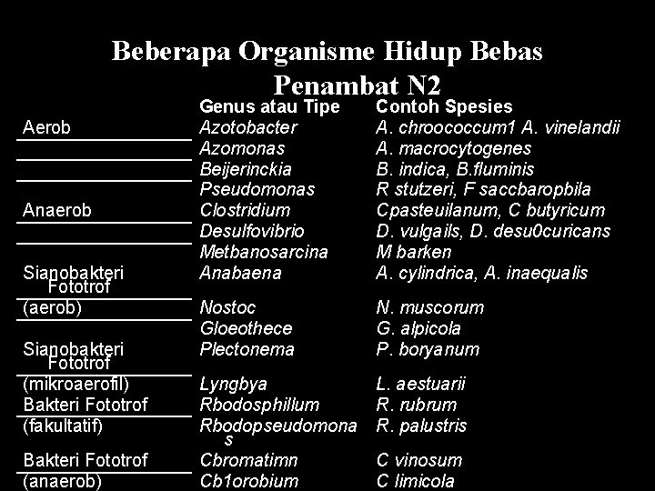 Beberapa Organisme Hidup Bebas Penambat N 2 Aerob Anaerob Sianobakteri Fototrof (aerob) Sianobakteri Fototrof