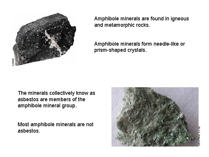 Amphibole minerals are found in igneous and metamorphic rocks. USGS Amphibole minerals form needle-like