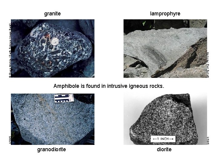 lamprophyre by-nc-sa: Ron Schott © Bruce Molnia, (Earth Science Image Bank) granite USGS Amphibole