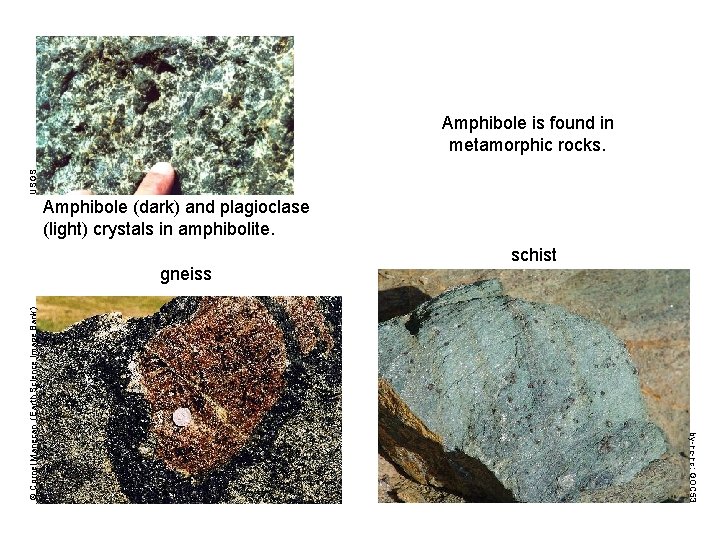 USGS Amphibole is found in metamorphic rocks. Amphibole (dark) and plagioclase (light) crystals in