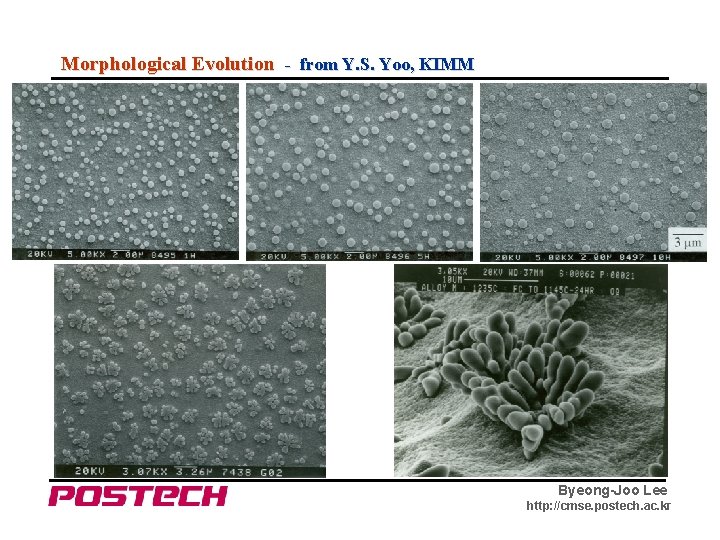 Morphological Evolution - from Y. S. Yoo, KIMM Byeong-Joo Lee http: //cmse. postech. ac.