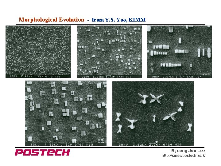 Morphological Evolution - from Y. S. Yoo, KIMM Byeong-Joo Lee http: //cmse. postech. ac.