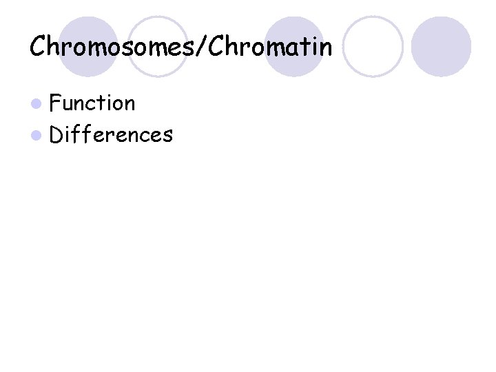 Chromosomes/Chromatin l Function l Differences 