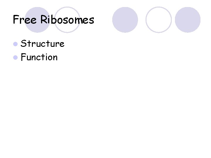 Free Ribosomes l Structure l Function 