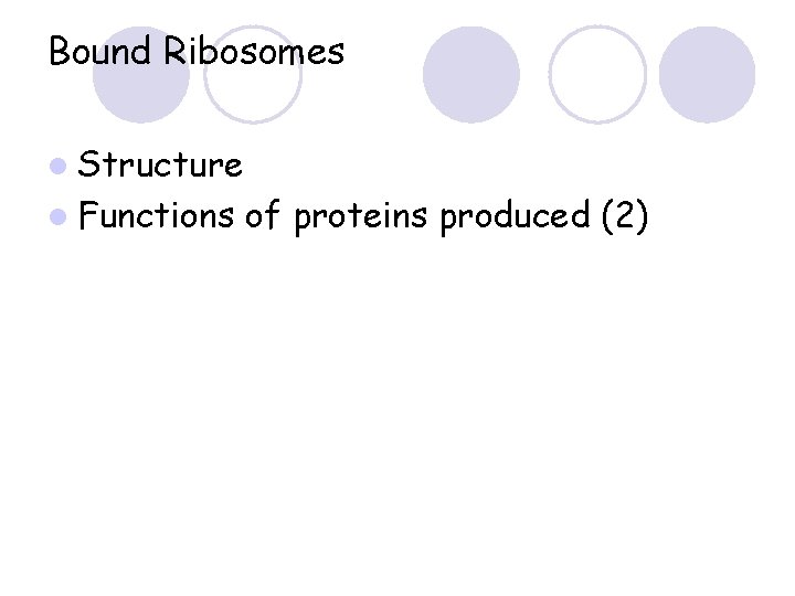 Bound Ribosomes l Structure l Functions of proteins produced (2) 