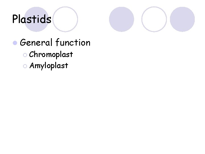 Plastids l General function ¡ Chromoplast ¡ Amyloplast 