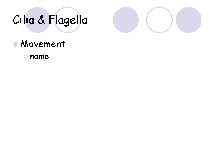 Cilia & Flagella l Movement ¡ name – 