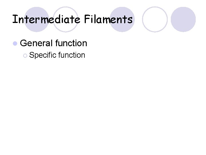 Intermediate Filaments l General function ¡ Specific function 