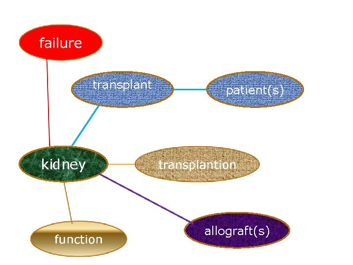 transplant patient(s) kidney allograft(s) 