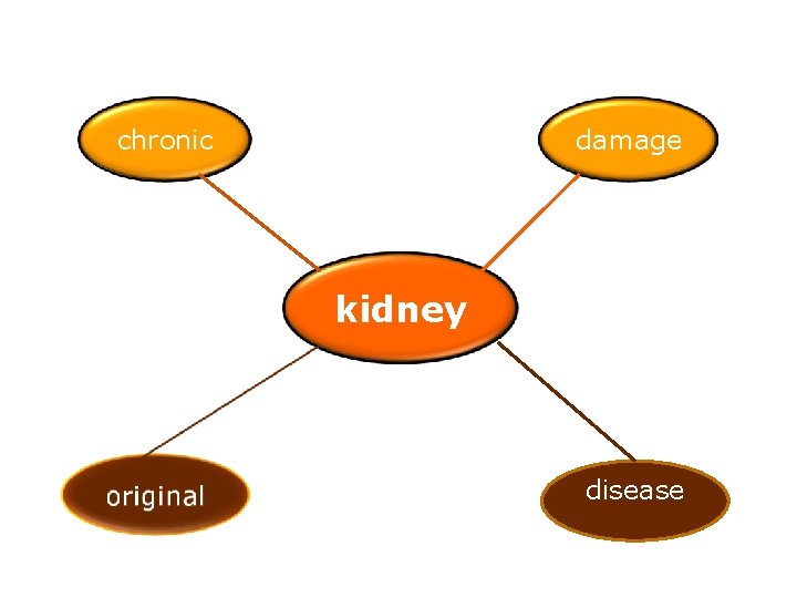 chronic damage kidney disease 