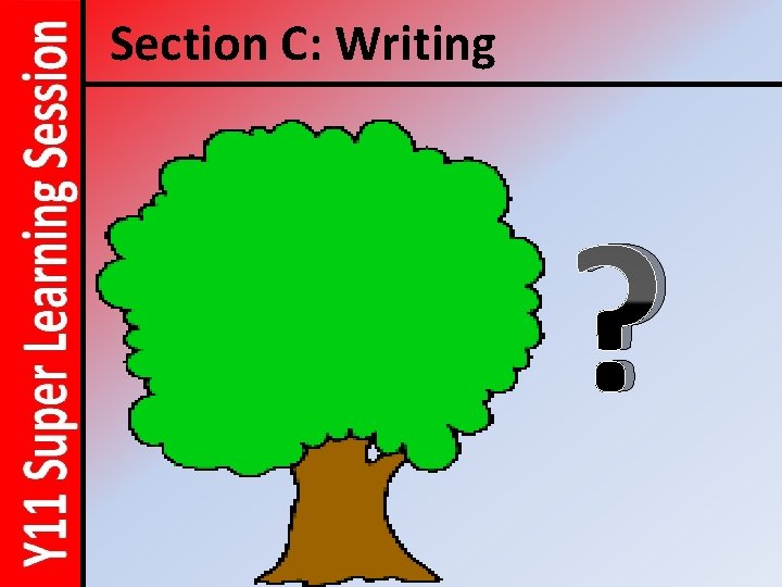 Section C: Writing ? 