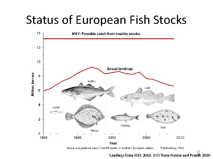 Status of European Fish Stocks 10 Landings from ICES 2010, MSY from Froese and