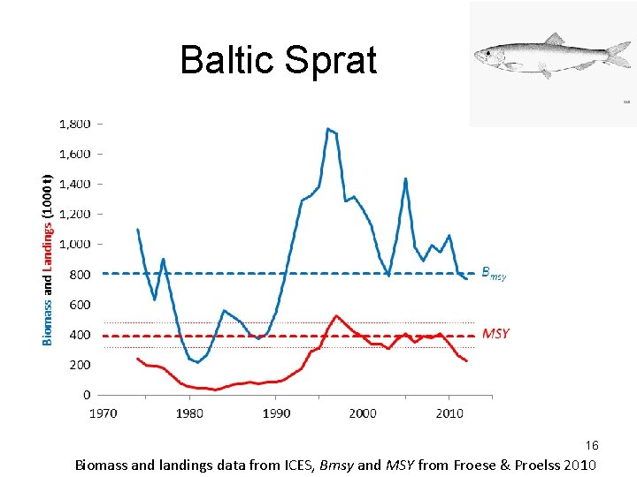 Baltic Sprat 16 Biomass and landings data from ICES, Bmsy and MSY from Froese