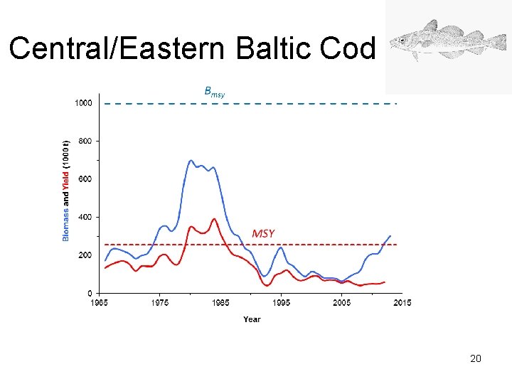 Central/Eastern Baltic Cod 20 