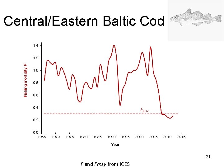 Central/Eastern Baltic Cod 21 F and Fmsy from ICES 