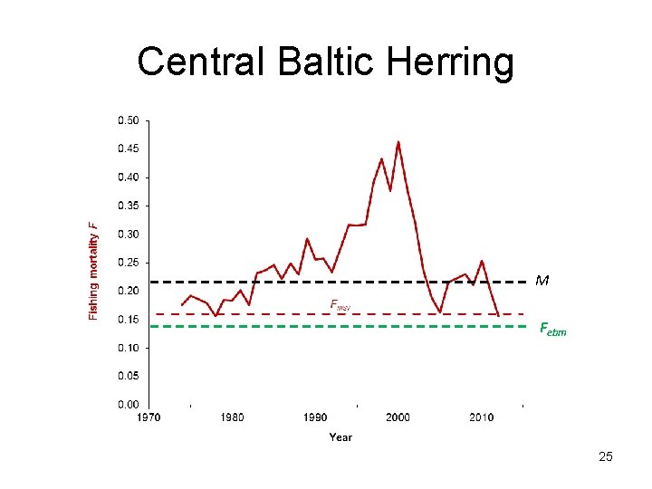 Central Baltic Herring M Febm 25 