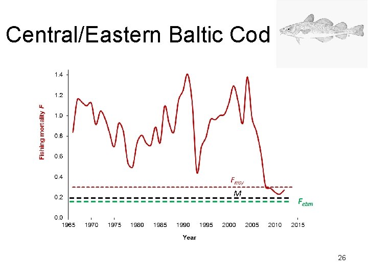 Central/Eastern Baltic Cod M Febm 26 