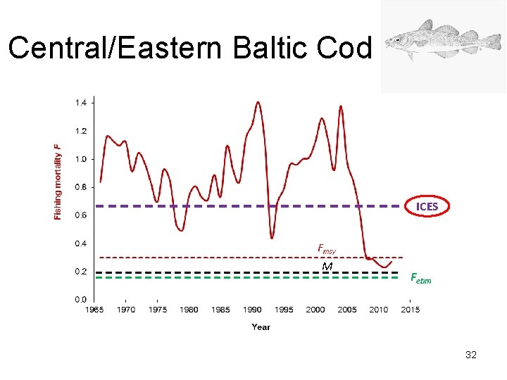 Central/Eastern Baltic Cod ICES M Febm 32 