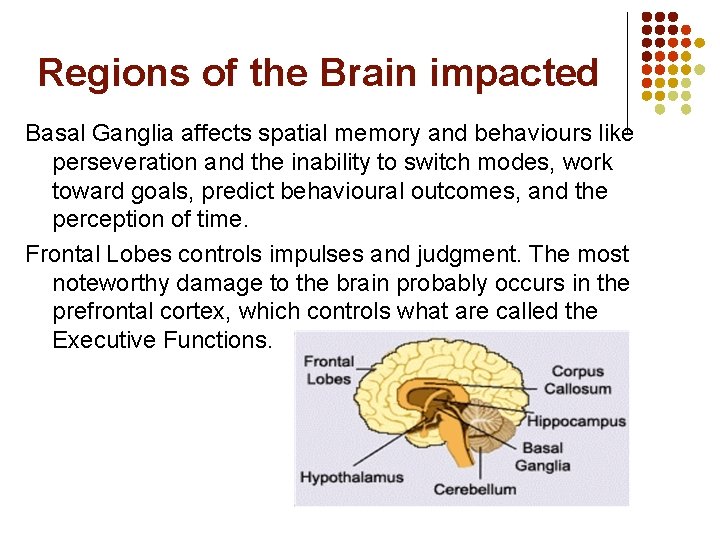 Regions of the Brain impacted Basal Ganglia affects spatial memory and behaviours like perseveration