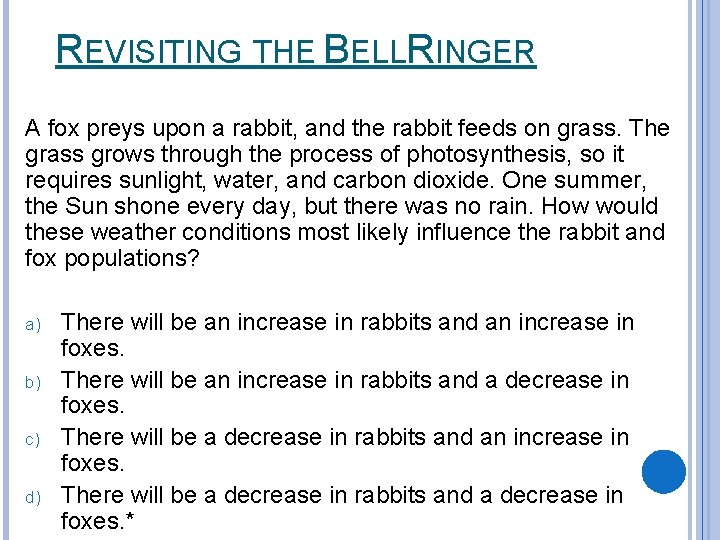 REVISITING THE BELLRINGER A fox preys upon a rabbit, and the rabbit feeds on