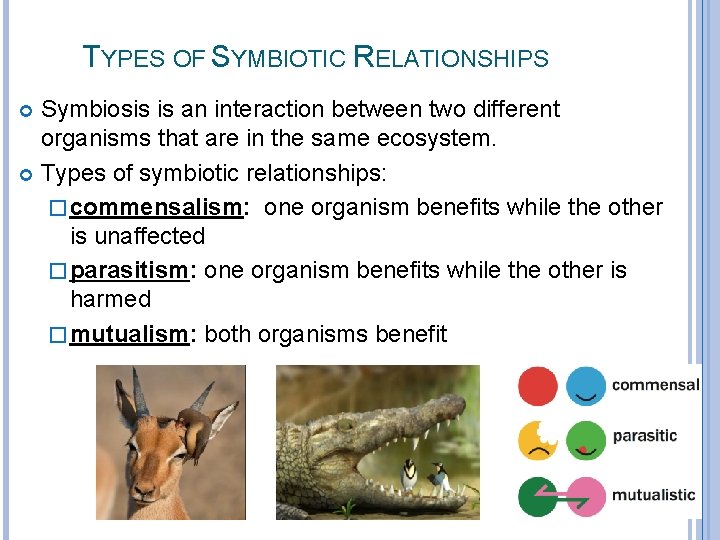 TYPES OF SYMBIOTIC RELATIONSHIPS Symbiosis is an interaction between two different organisms that are