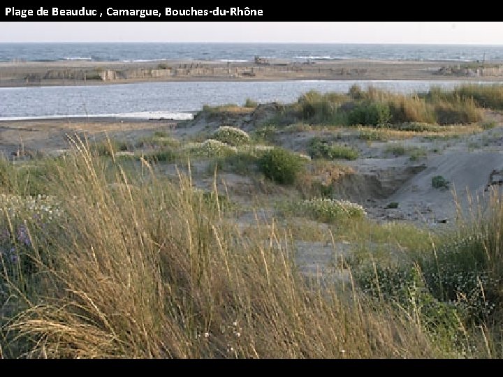 Plage de Beauduc , Camargue, Bouches-du-Rhône 