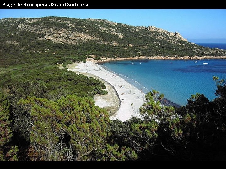 Plage de Roccapina , Grand Sud corse 