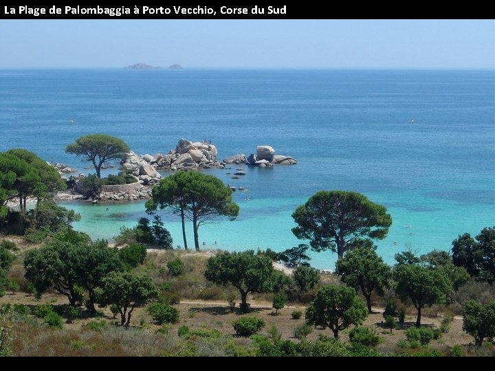 La Plage de Palombaggia à Porto Vecchio, Corse du Sud 