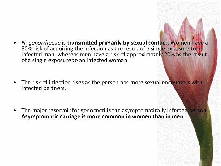  • N. gonorrhoeae is transmitted primarily by sexual contact. Women have a 50%