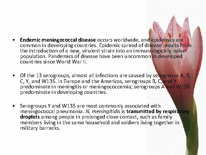  • Endemic meningococcal disease occurs worldwide, and epidemics are common in developing countries.