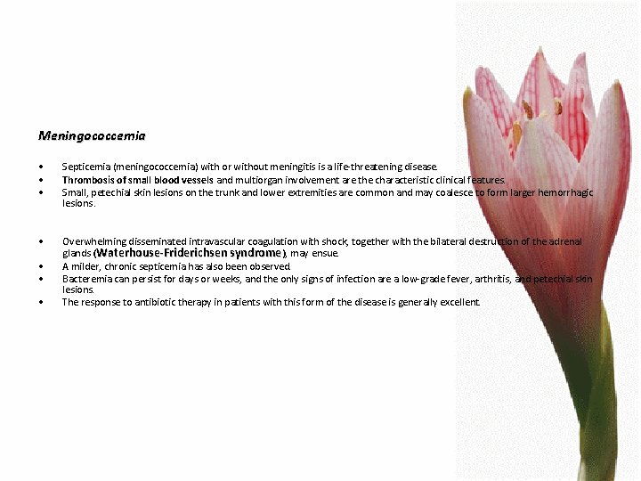Meningococcemia • • • Septicemia (meningococcemia) with or without meningitis is a life-threatening disease.