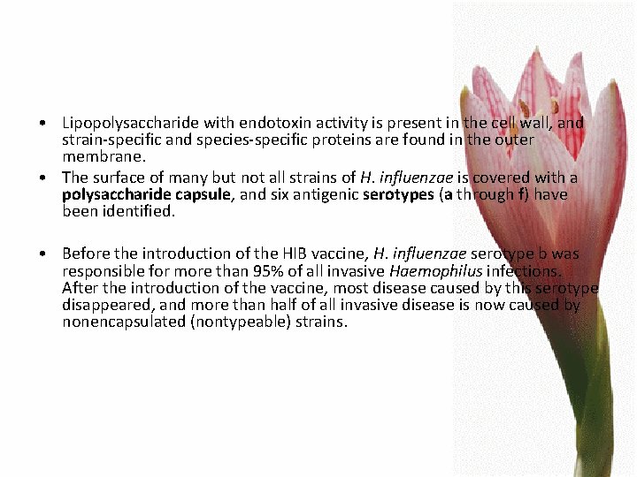  • Lipopolysaccharide with endotoxin activity is present in the cell wall, and strain-specific