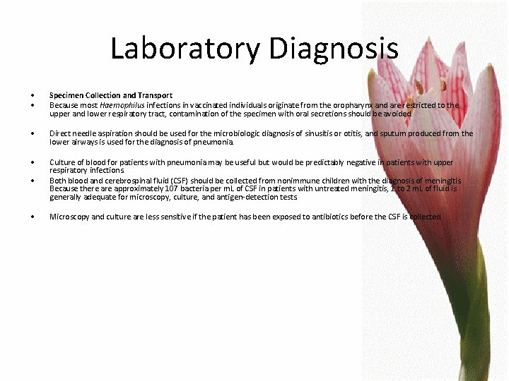 Laboratory Diagnosis • • Specimen Collection and Transport Because most Haemophilus infections in vaccinated