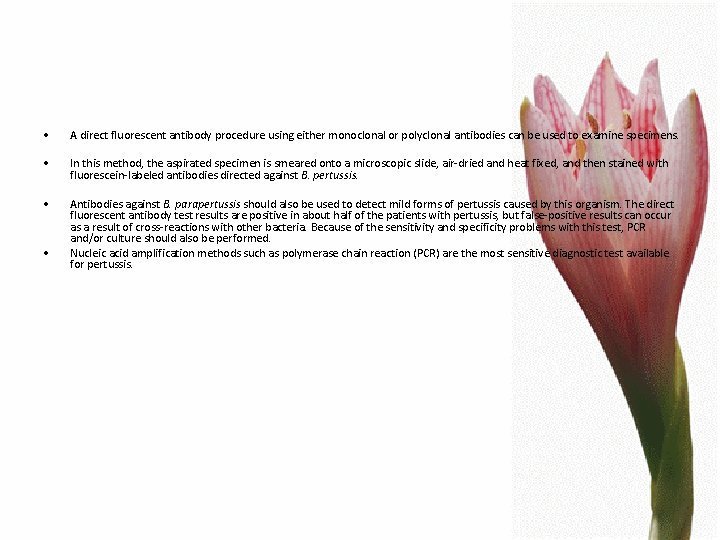  • A direct fluorescent antibody procedure using either monoclonal or polyclonal antibodies can